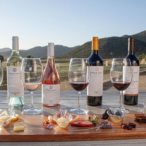 vinos para comida en mexico