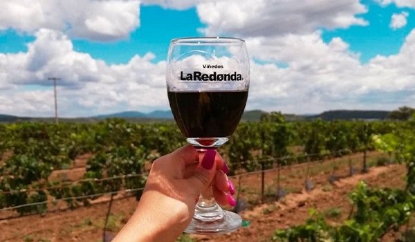 copa de vino la redonda